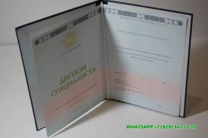 Купить диплом Колледжа `Синергия` в Тольятти